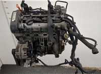  Насос гидроусилителя руля (ГУР) Seat Ibiza 3 2001-2008 11426224 #7