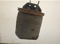  Пневмоподушка Man 4-Serie TGA 2000-2008 20460432 #1