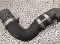  Патрубок интеркулера DAF LF 2001-2013 20460446 #2