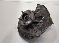  Ступица (кулак, цапфа) Ford Kuga 2008-2012 20460565 #1