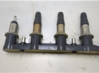 55570160 Катушка зажигания Chevrolet Cruze 2009-2015 20461002 #1