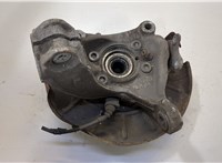  Кулак поворотный Volkswagen Passat 7 2010-2015 Европа 11427051 #2