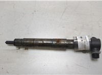  Форсунка топливная Mercedes E W212 2009-2016 20461339 #1