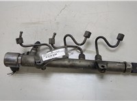  Рампа (рейка) топливная Mercedes E W212 2009-2016 20461342 #1