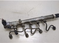  Рампа (рейка) топливная Mercedes E W212 2009-2016 20461342 #4