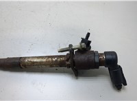 1331260 Форсунка топливная Land Rover Discovery 3 2004-2009 20461443 #1