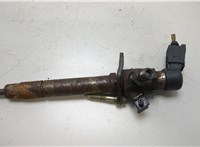 1331260 Форсунка топливная Land Rover Discovery 3 2004-2009 20461448 #1