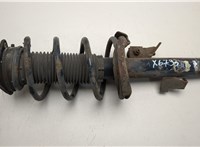  Амортизатор подвески Ford Focus 2 2008-2011 20461538 #1