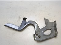 5341042120 Петля капота Toyota RAV 4 2013-2015 20461567 #3