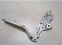  Петля капота Volkswagen Passat 8 2015- 20461569 #1