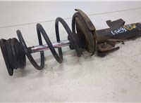  Амортизатор подвески Ford Focus 2 2008-2011 20461980 #1