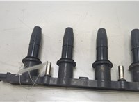  Катушка зажигания Opel Corsa D 2006-2014 20462075 #1