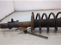  Амортизатор подвески Ford Kuga 2012-2016 20462144 #2