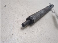  Форсунка топливная SsangYong Rodius 2004-2013 20462353 #2