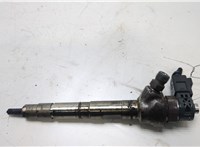  Форсунка топливная Volkswagen Passat 8 2015- 20462834 #1