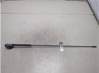 97GP18A886A1B, 1948182, 95GP18828AF, 1087087 Антенна Ford Focus 2 2008-2011 20462955 #4