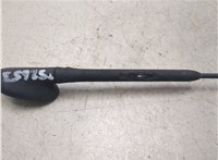 97GP18A886A1B, 1948182, 95GP18828AF, 1087087 Антенна Ford Focus 2 2008-2011 20462955 #5