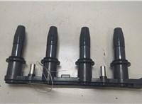  Катушка зажигания Opel Astra H 2004-2010 20463077 #1
