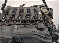  Компрессор кондиционера BMW X5 E53 2000-2006 11428026 #6