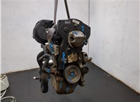 01353X Двигатель (ДВС) Citroen Berlingo 1997-2002 20463230 #2