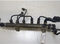  Рампа (рейка) топливная Opel Zafira B 2005-2012 20463243 #1