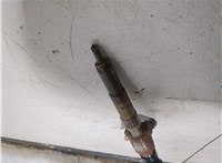 166006212R, 166006526R Форсунка топливная Renault Megane 4 2016-2020 20463385 #1