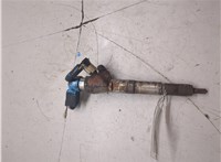 166006212R, 166006526R Форсунка топливная Renault Megane 4 2016-2020 20463387 #1