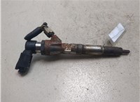 166006212R, 166006526R Форсунка топливная Renault Megane 4 2016-2020 20463387 #1