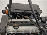  Компрессор кондиционера Volkswagen Golf 4 1997-2005 11428329 #6