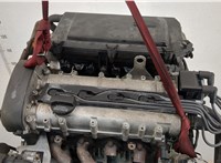  Компрессор кондиционера Volkswagen Golf 4 1997-2005 11428375 #5
