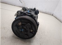  Компрессор кондиционера Seat Alhambra 1996-2010 20463617 #3
