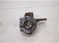  Ступица (кулак, цапфа) Ford Fusion 2002-2012 20463316 #1