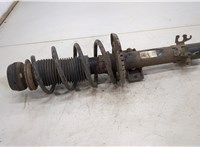  Амортизатор подвески Skoda Rapid 20463824 #1