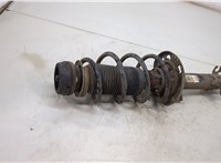  Амортизатор подвески Skoda Rapid 20463824 #3