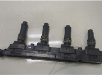 1208020, 24420584, 93177212 Катушка зажигания Opel Astra H 2004-2010 20463913 #1