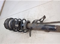  Амортизатор подвески BMW 3 E90, E91, E92, E93 2005-2012 20464539 #4