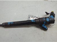 3380027800, 0445110254 Форсунка топливная Hyundai Santa Fe 2005-2012 20464660 #12