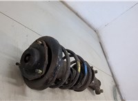  Амортизатор подвески Nissan Primera P12 2002-2007 20464834 #2
