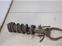  Амортизатор подвески Infiniti EX35 20465273 #2