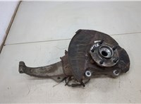  Ступица (кулак, цапфа) Infiniti EX35 20465358 #1