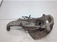  Ступица (кулак, цапфа) Infiniti EX35 20465358 #2