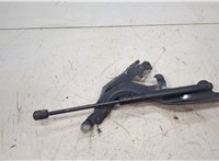  Амортизатор капота Infiniti EX35 11429416 #2