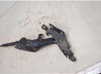  Амортизатор капота Infiniti EX35 11429416 #4