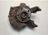  Ступица (кулак, цапфа) Volkswagen Golf 4 1997-2005 20465920 #1