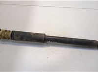  Амортизатор подвески BMW 3 E46 1998-2006 20466040 #1