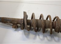  Амортизатор подвески Ford Transit (Tourneo) Connect 2002-2013 20466086 #1