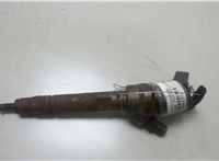 13538506902 Форсунка топливная Mini Cooper (R56/R57) 2006-2013 20466302 #1