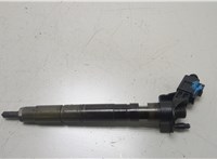  Форсунка топливная Audi A6 (C6) 2004-2011 20466393 #1