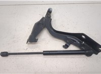  Амортизатор капота Infiniti EX35 11429850 #2