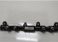  Рампа (рейка) топливная Ford Mondeo 3 2000-2007 20466688 #1